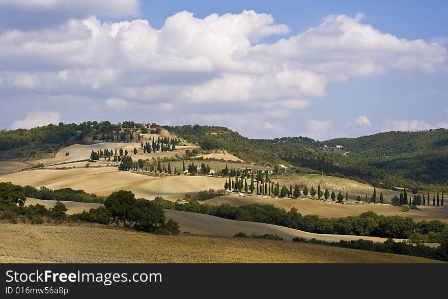 Tuscan Landscape