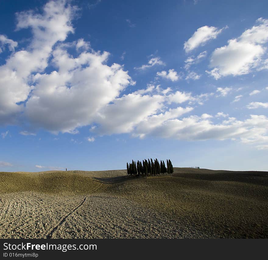 Tuscan landscape