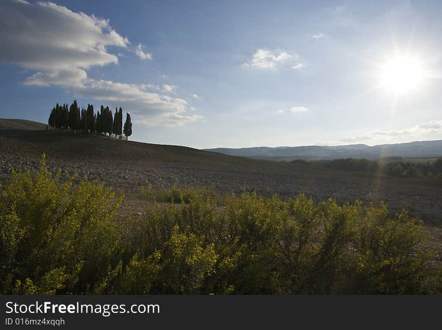 Tuscan landscape