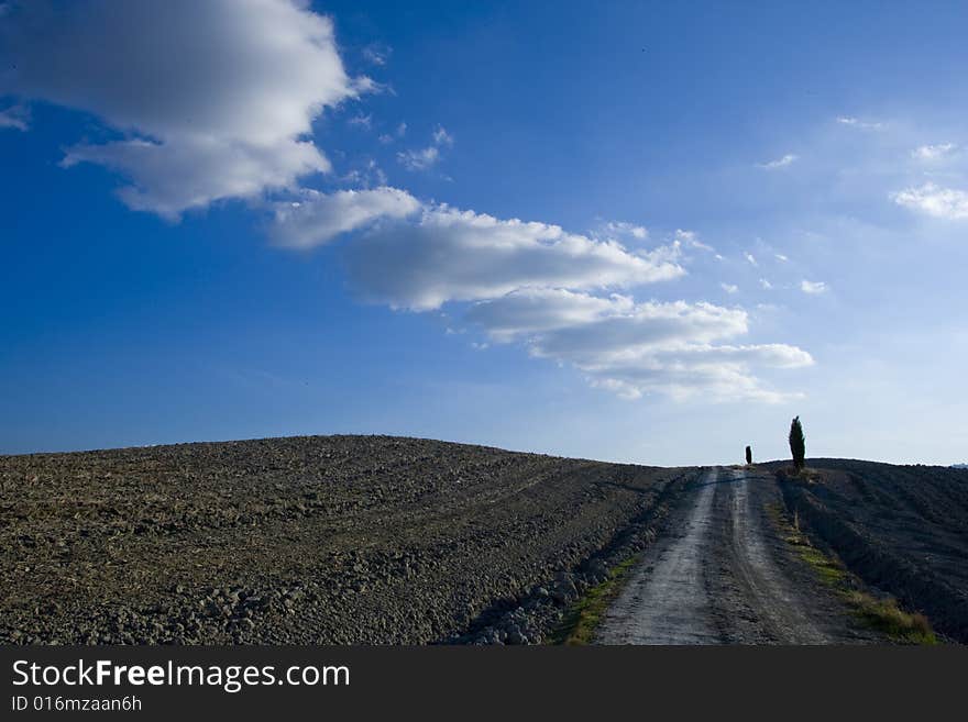 Tuscan landscape