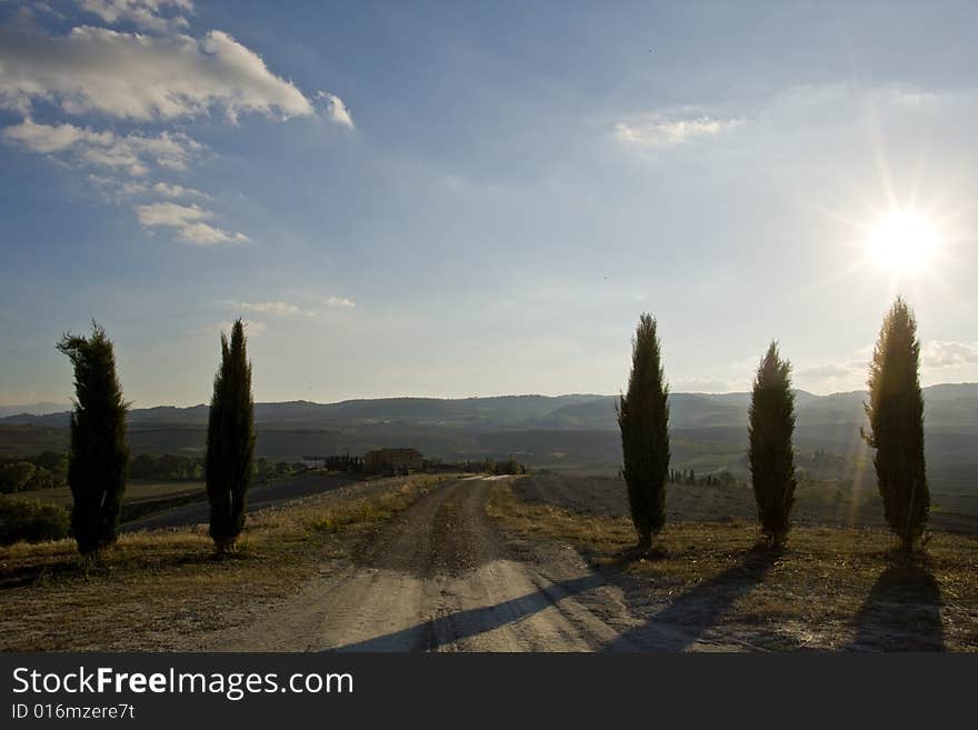 Tuscan landscape, with cypress