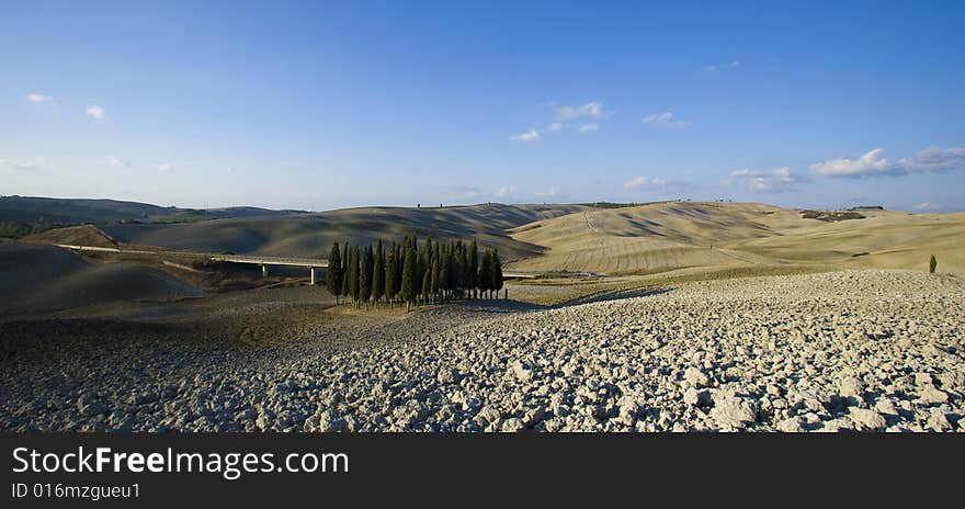 Tuscan landscape