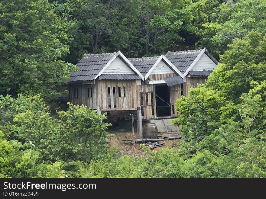 Three Old Shacks In The Forest