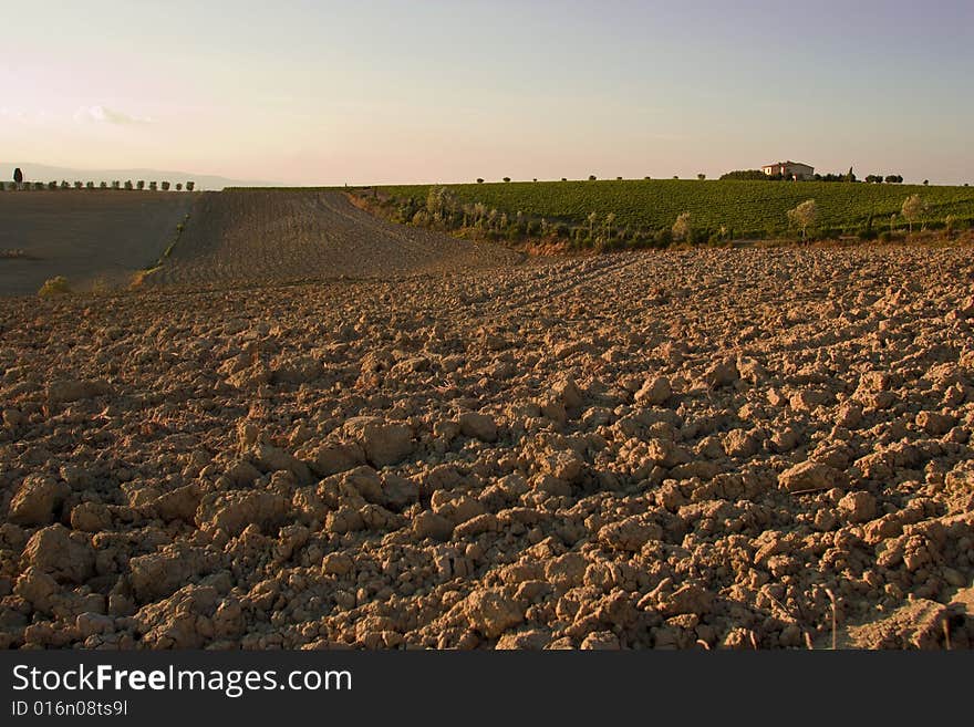 Image of Tuscan relaxing Countryside,. Image of Tuscan relaxing Countryside,