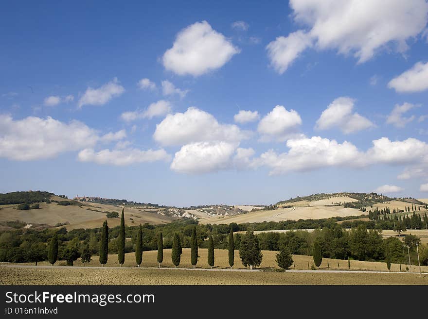 Image of Typical tuscan landscape, fields and hills