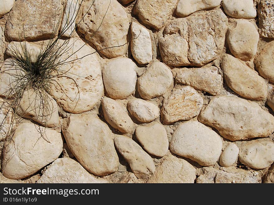 Stone wall with a plant sprouting between stones. Stone wall with a plant sprouting between stones