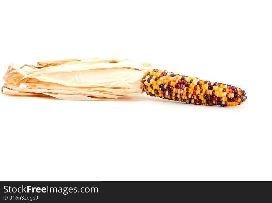 Colorful corn isolated on white