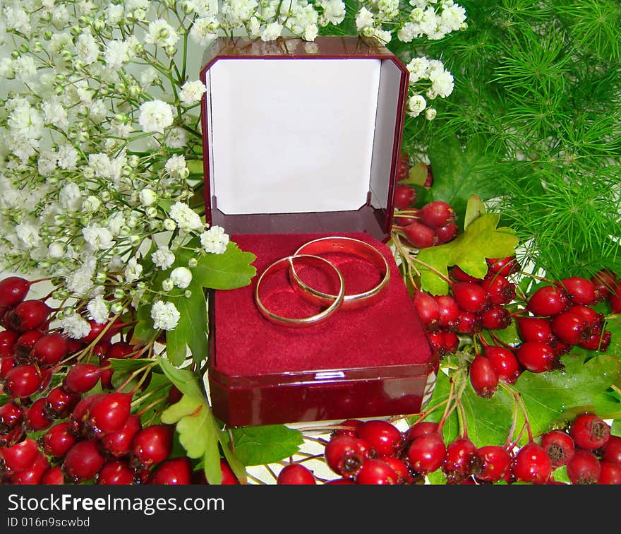 Wedding rings. 
Rings for wedding. Scenery with flowers and on the different colour Backgrounds.