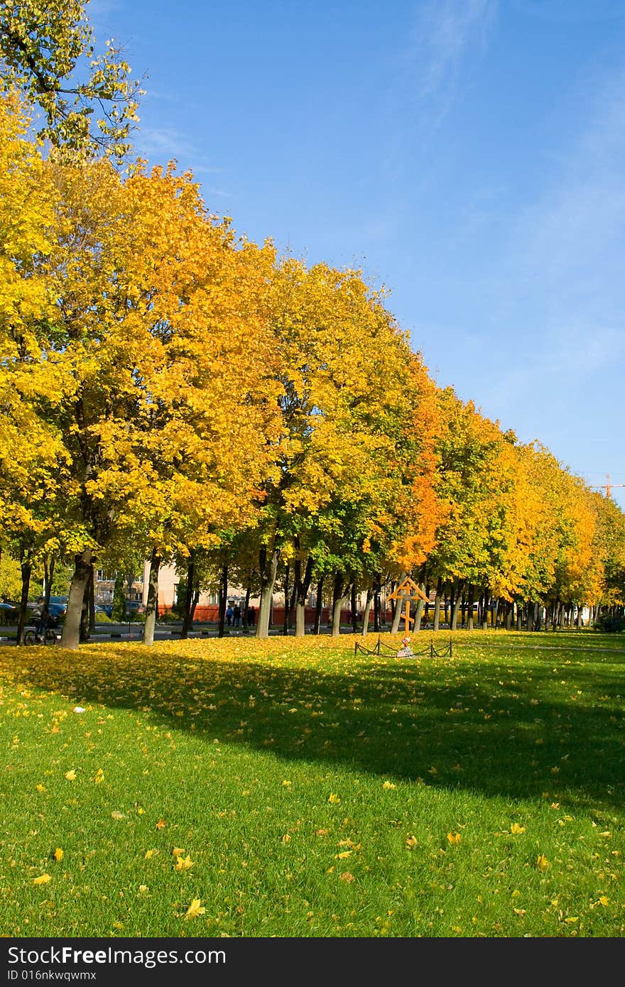 Autumn city park in solar autumn day