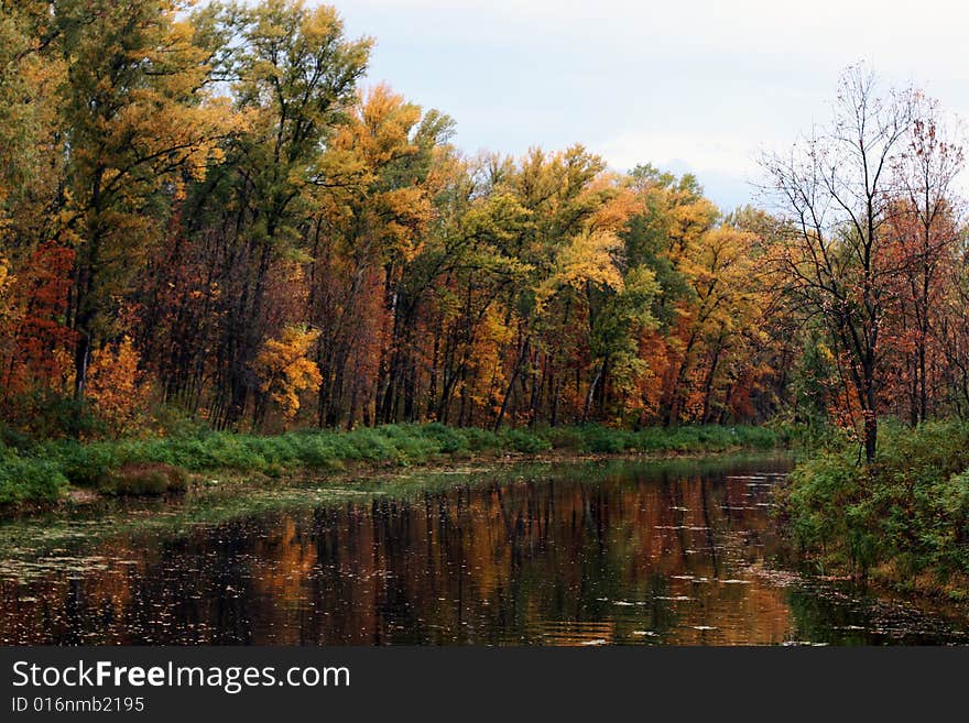 Autumn River