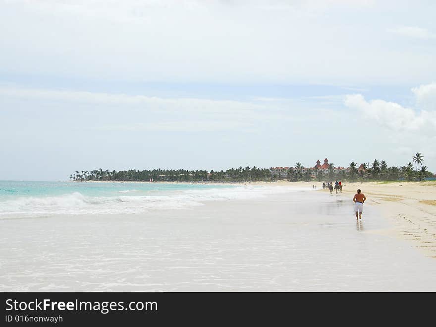 Tropical beach scene