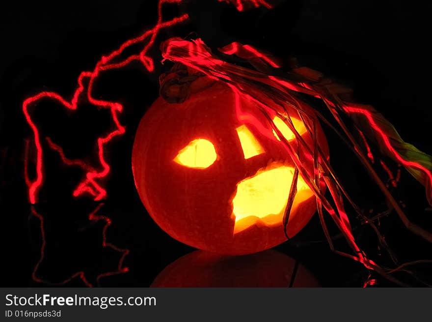 Pumpkin halloween  on black background