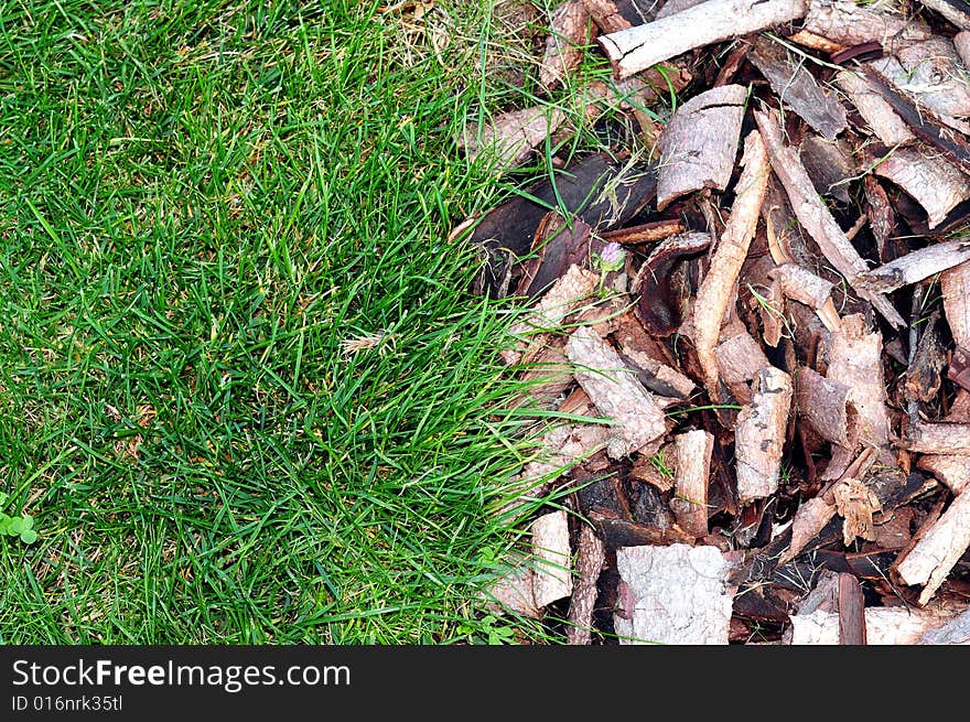 Green grass and bark