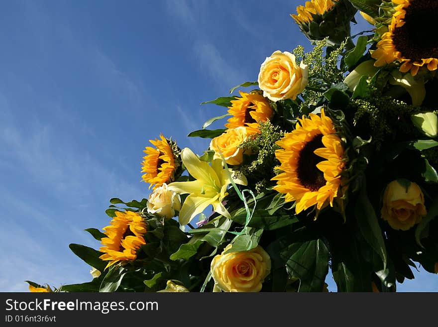 Sunflowers against the sky