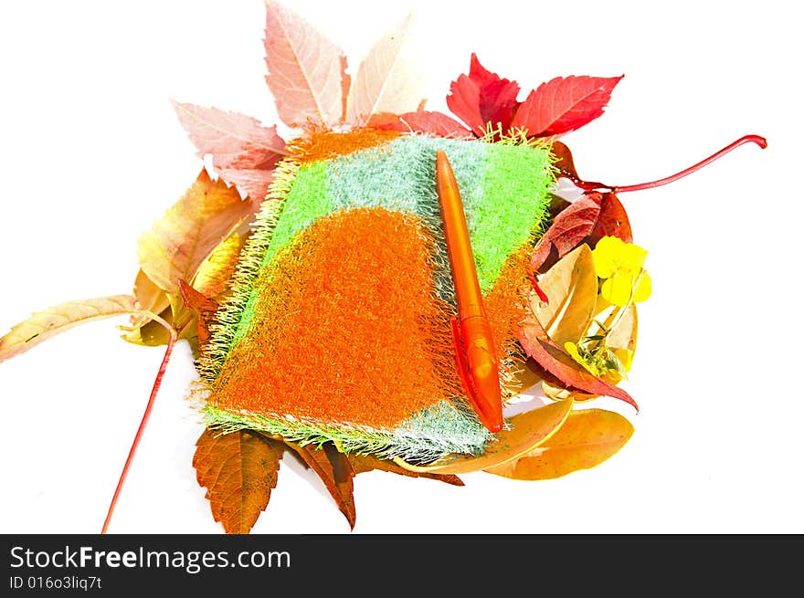 Notebook made of soft fabric with colorful pen on it and autumn leaves and flowers around it, isolated on white background. Notebook made of soft fabric with colorful pen on it and autumn leaves and flowers around it, isolated on white background