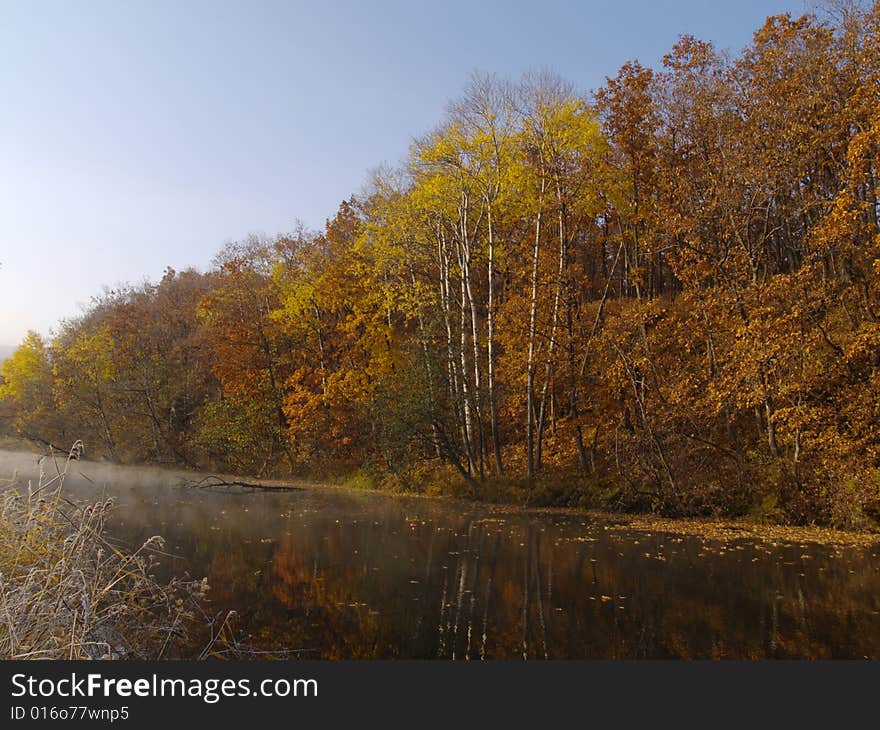 Autumn Morning