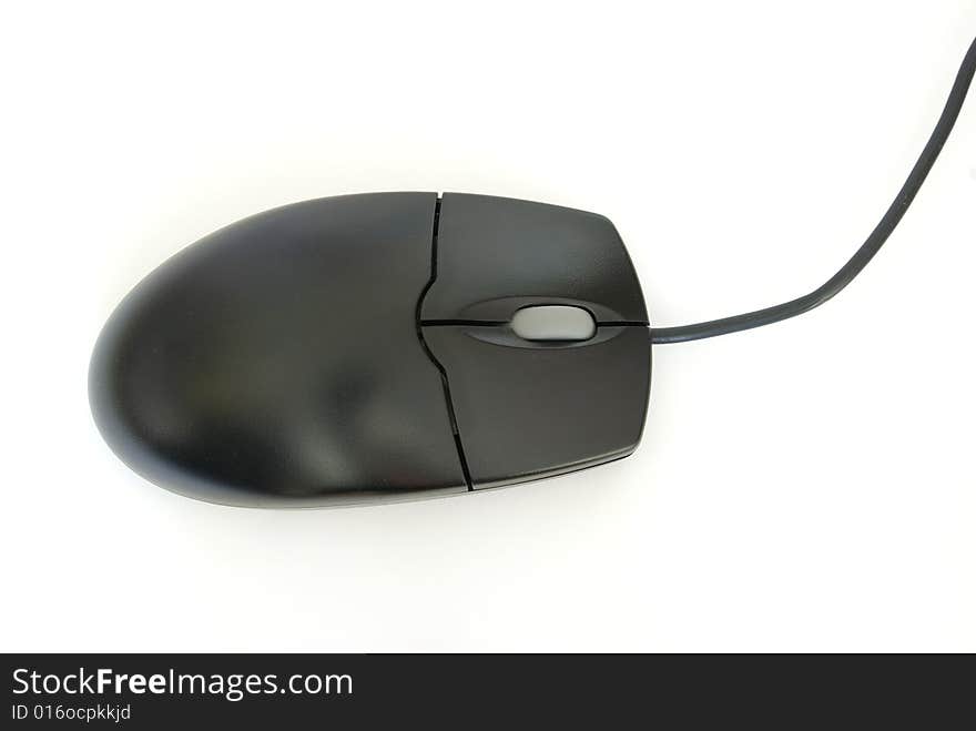 Computer Mouse