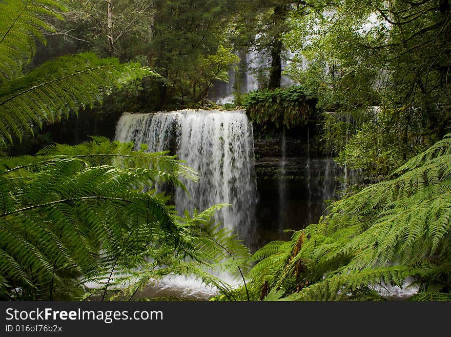 Waterfall In Tasmania