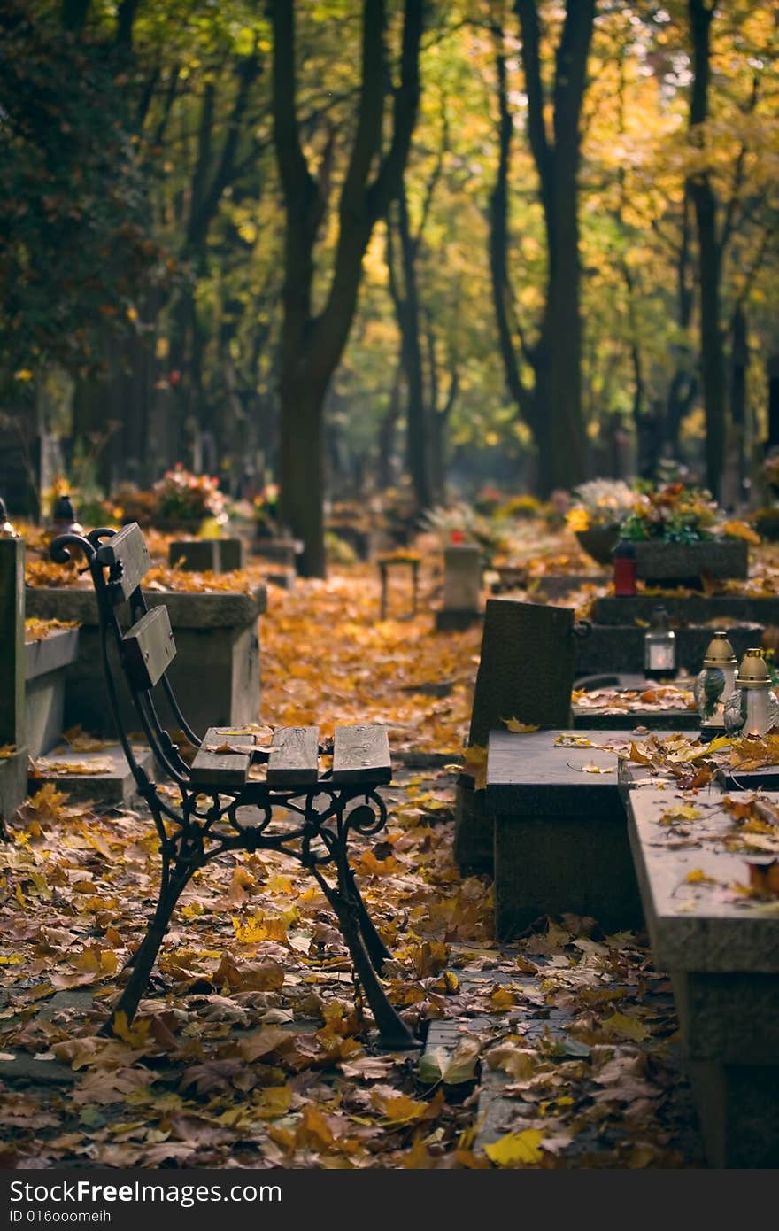 Old bench on cemetery and autumn leaves