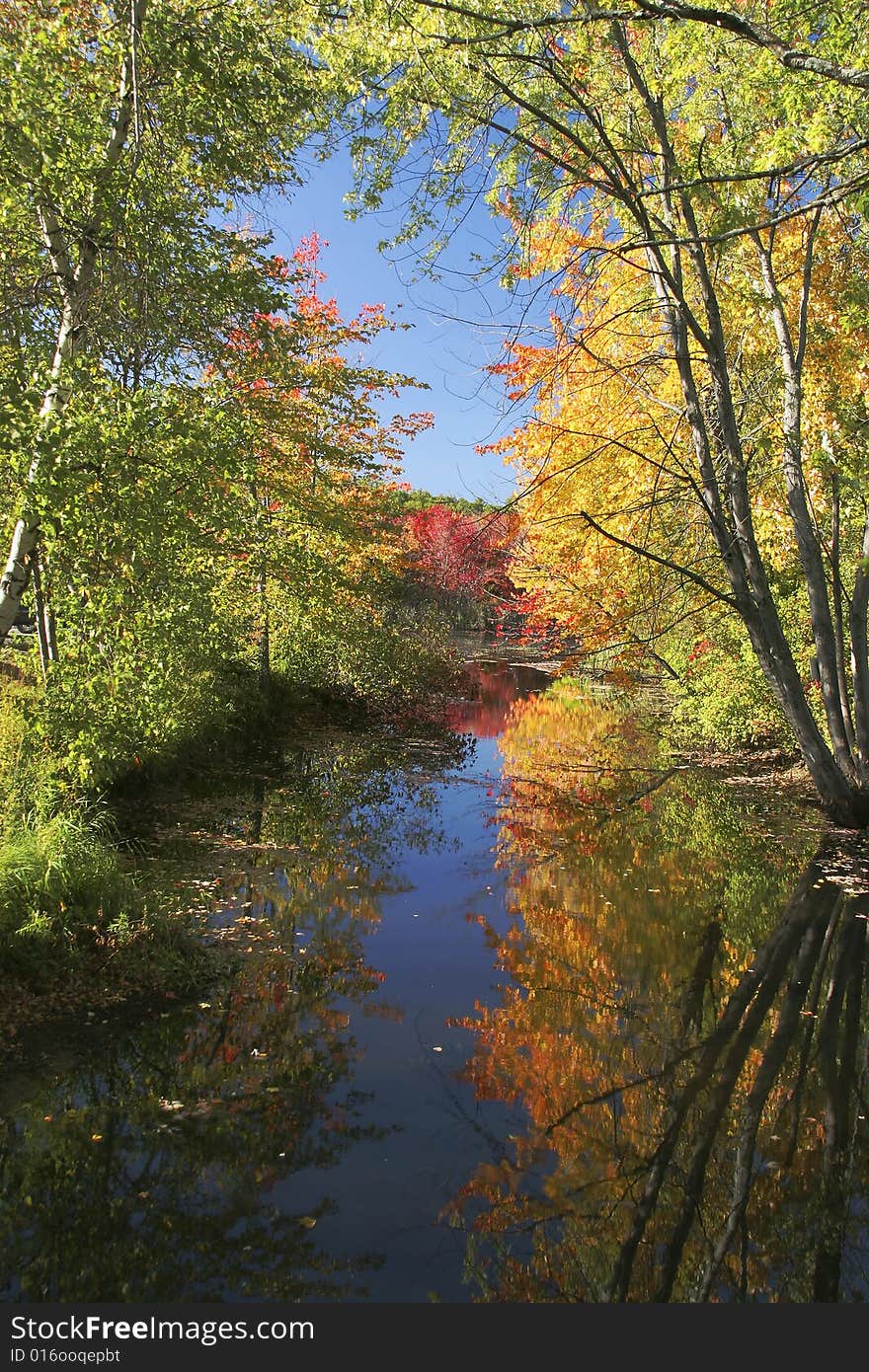 Colorful Foliage in the Fall