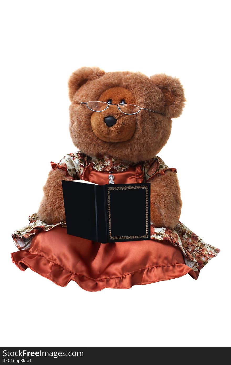 Teddy Bear with book Isolated on White