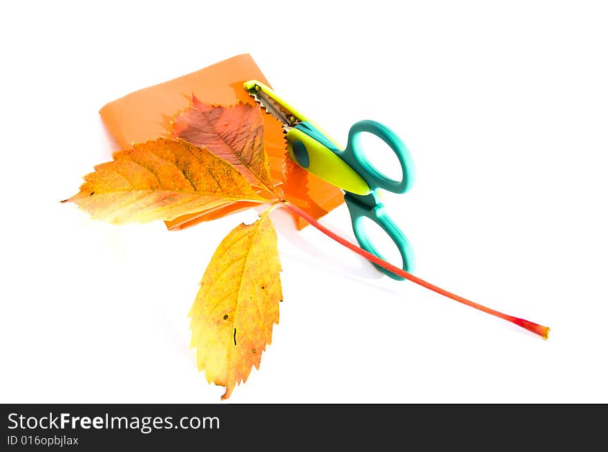 Special scissors imitated leaf of wild grape on orange paper, isolated on white background. Special scissors imitated leaf of wild grape on orange paper, isolated on white background