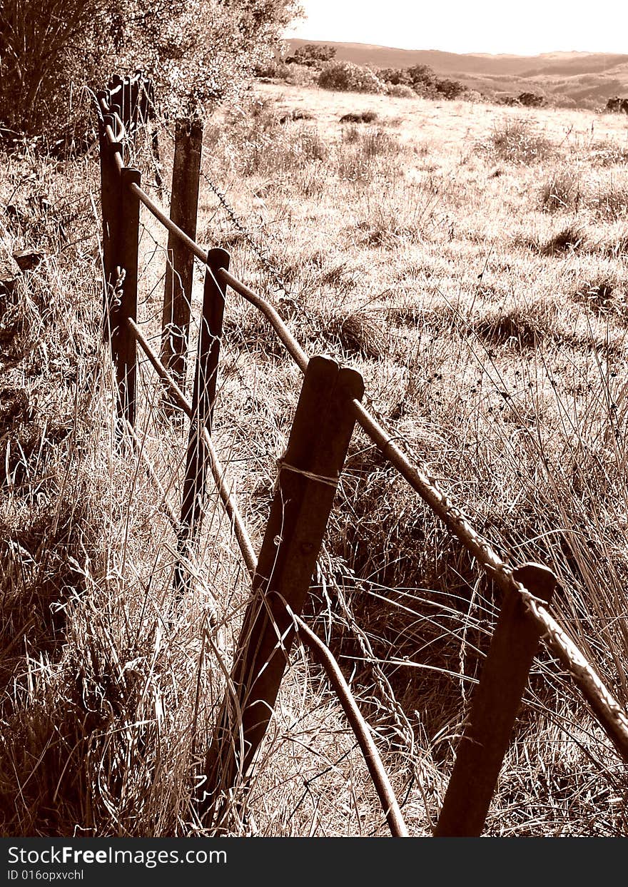 Rustic Fence