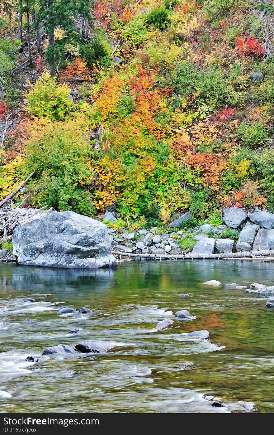 Fall Color At The River Bank