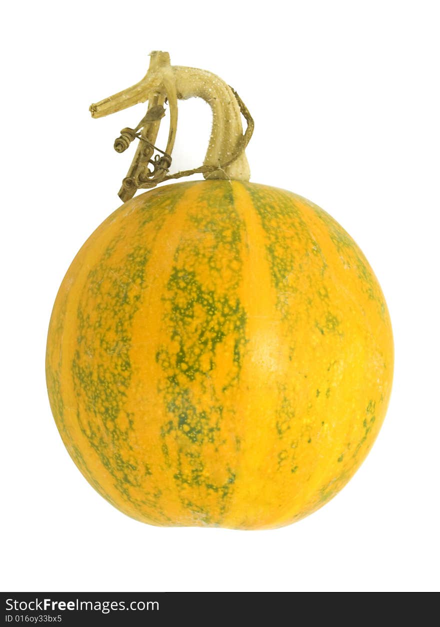 Nice decorative orange pumpkin with green stripes isolated over white with clipping path