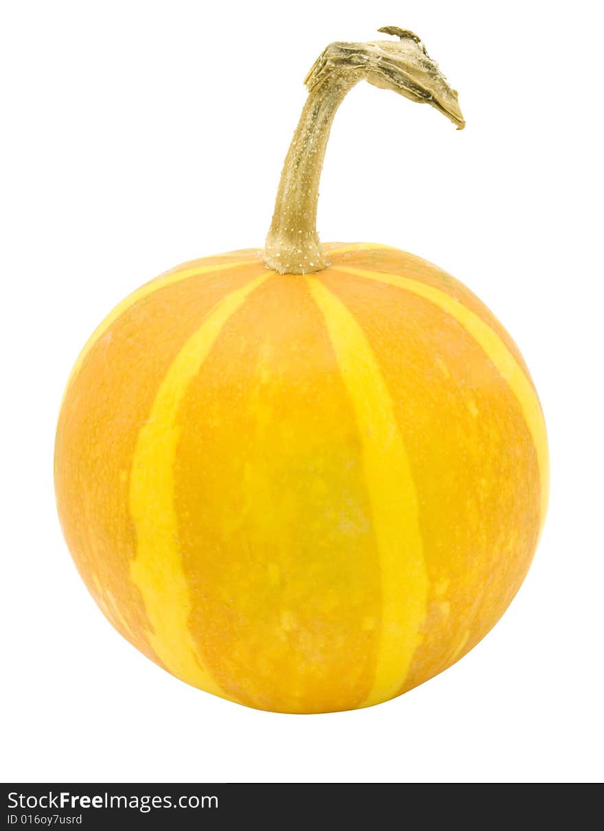 Nice decorative orange pumpkin with yellow stripes isolated over white with clipping path