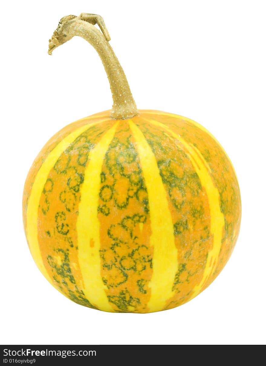 Nice decorative pumpkin with yellow stripes isolated over white with clipping path