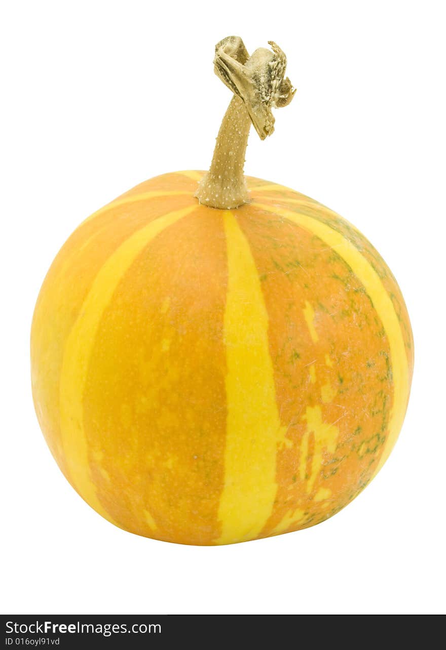 Pumpkin