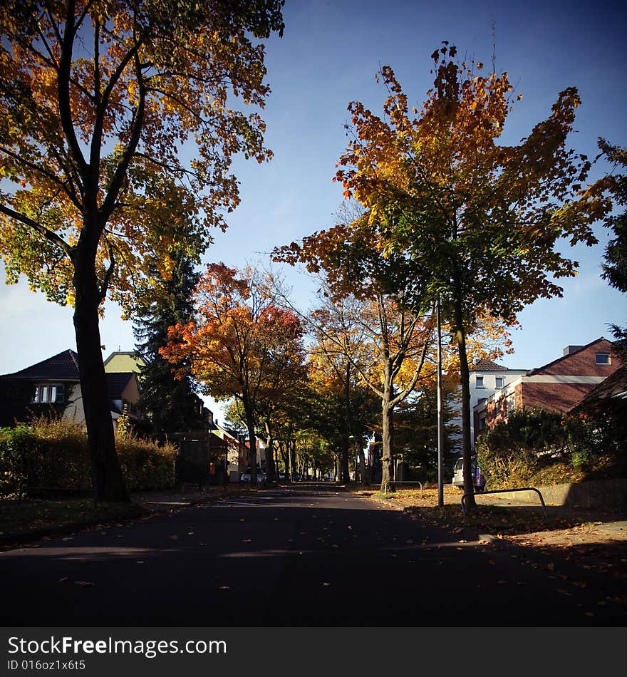 A beautiful autumn morning. The yellow leaves looks so beautiful with the blue sky.