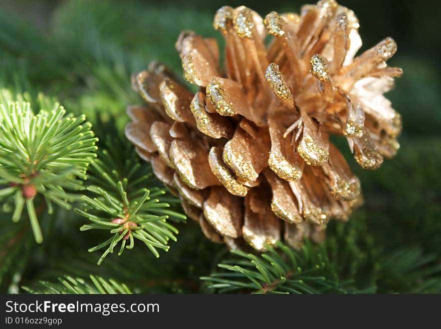 Holiday Pine Cone