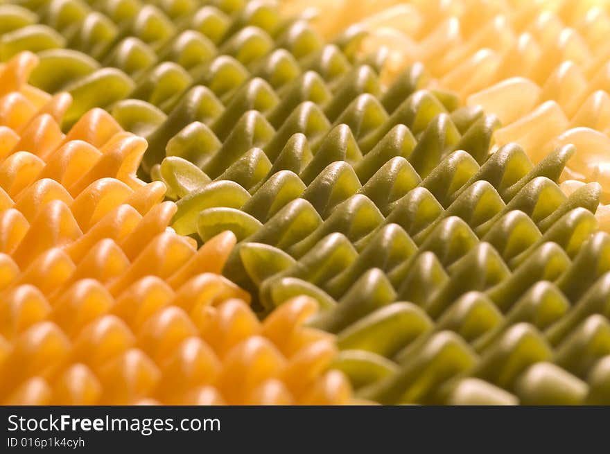 Different types of Italian pastas prepared to cook