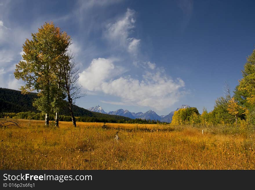 Grand Tetons