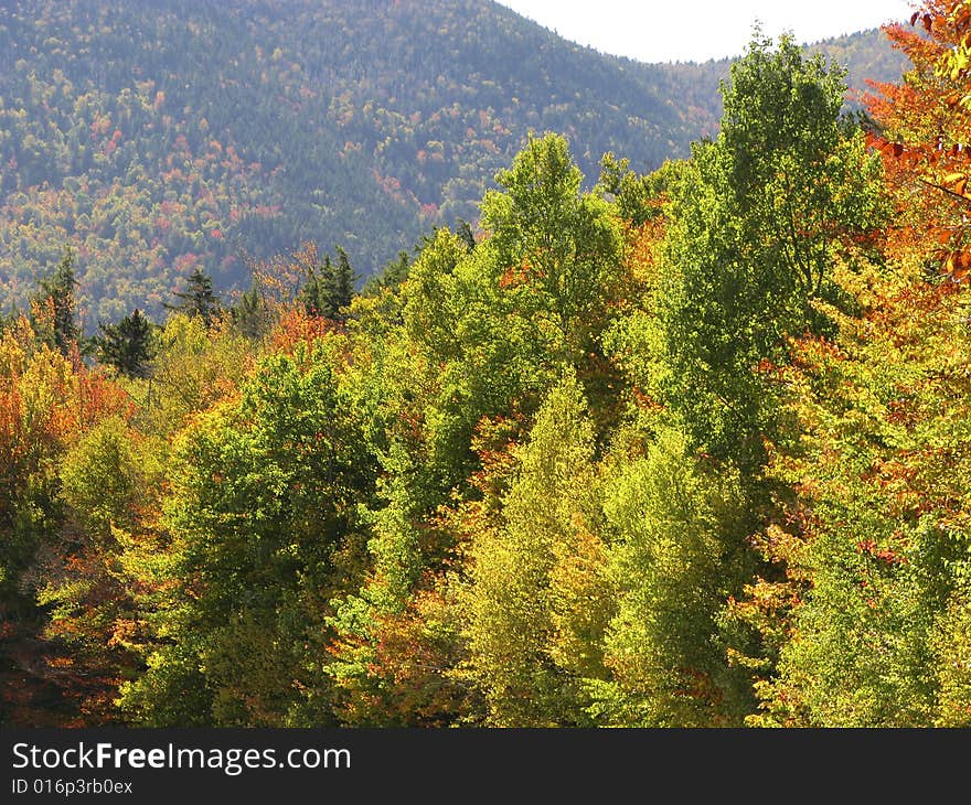 Colorful Foliage in the White Mountain, New Hampshire, US