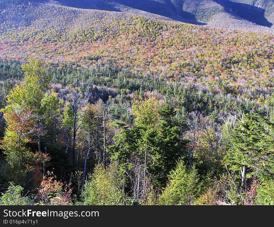 Colorful Foliage in the White Mountain, New Hampshire, US. Colorful Foliage in the White Mountain, New Hampshire, US