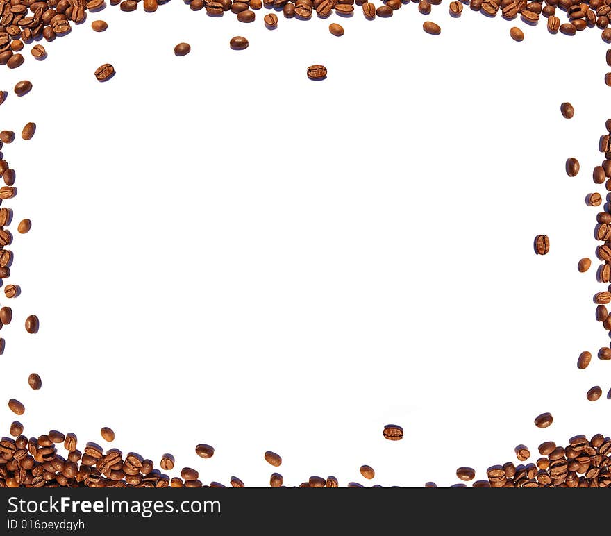 Coffee seeds isolated