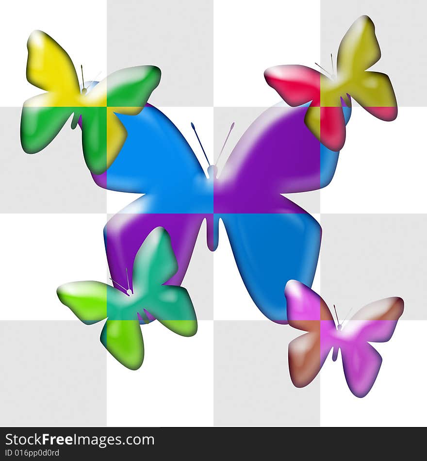 Butterflies in dual colors