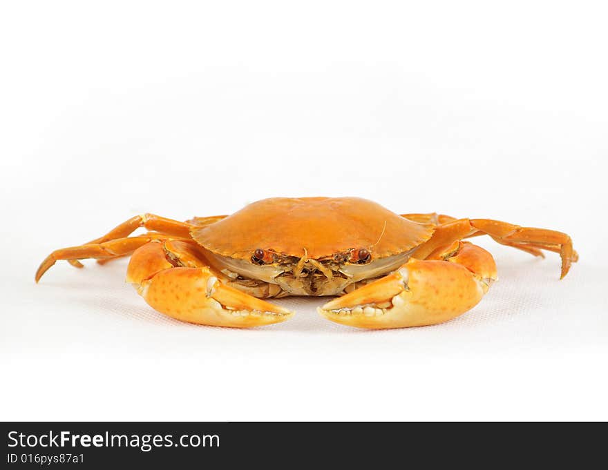 Boiled crab