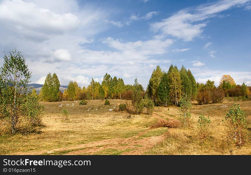 Rural Landscape With Old Road