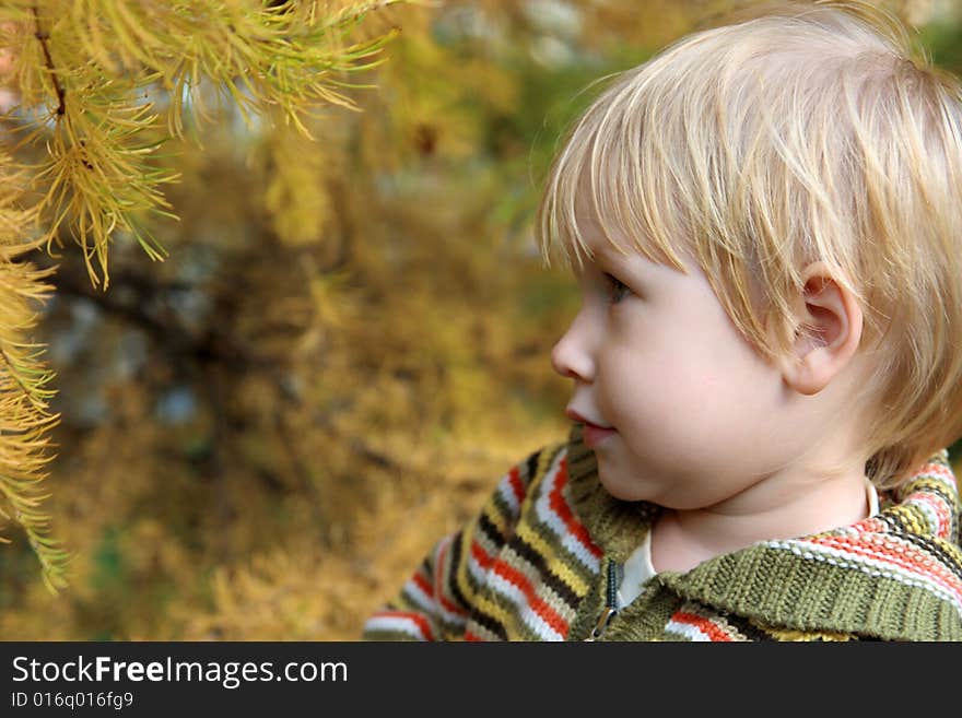 Portrait of the child in autumn park