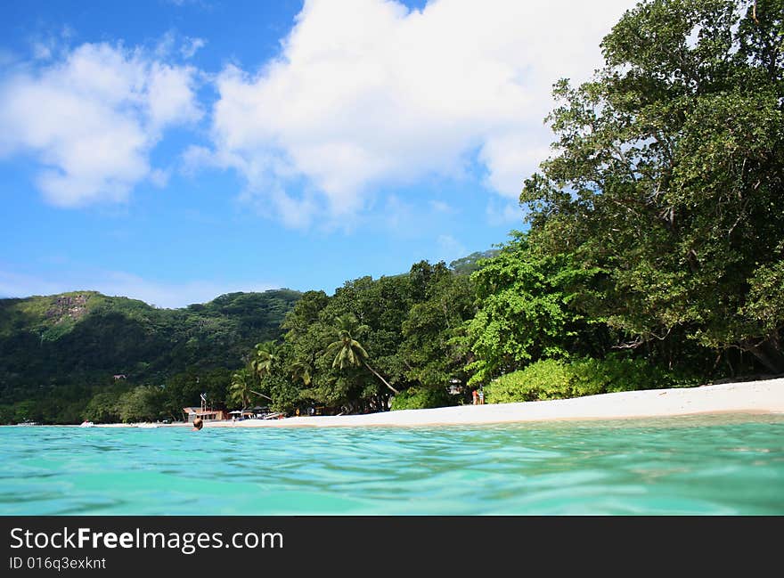 Tropical beach