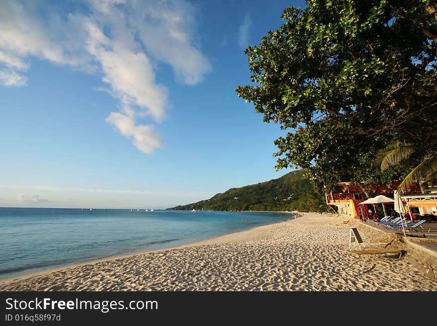 Tropical Beach