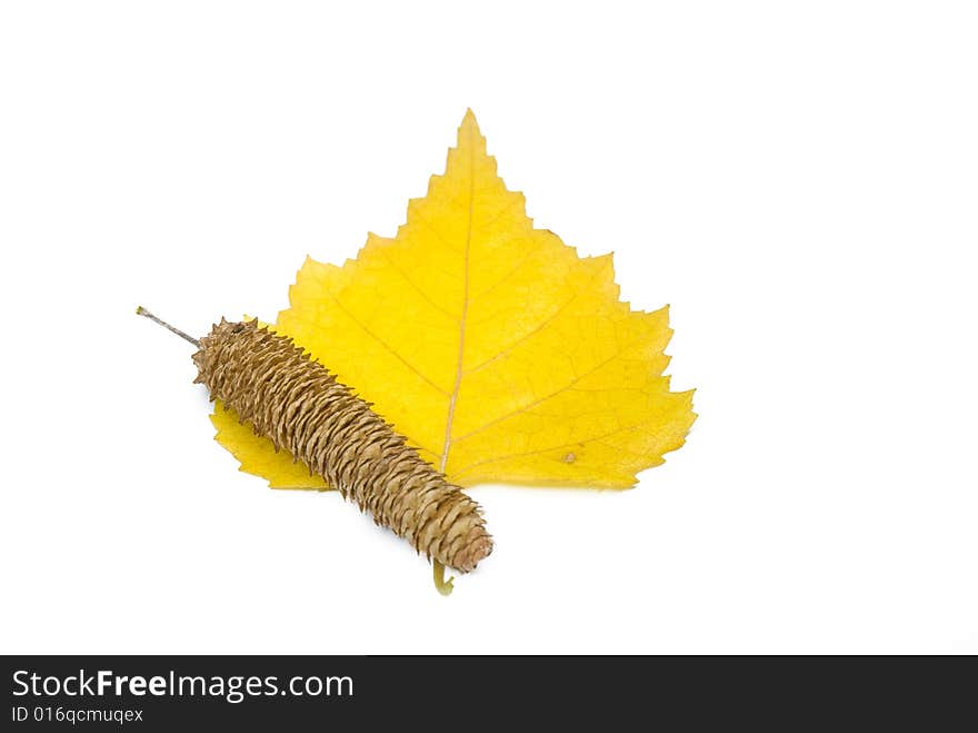 Yellow leaves and birch ear-rings