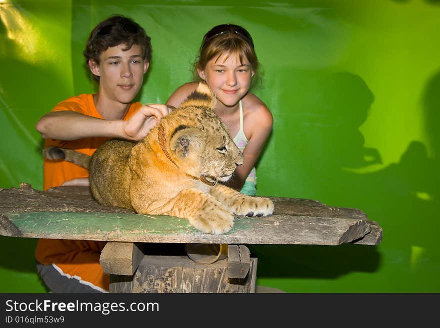 The guy and the girl together caress a young lion. The guy and the girl together caress a young lion