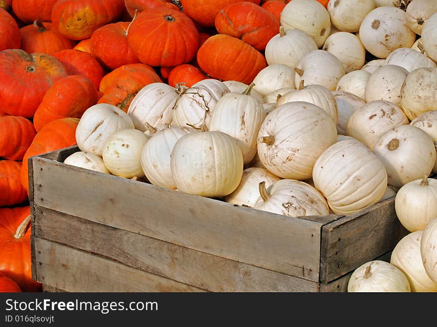 Orange and white pumpkins in an old farm crate. Orange and white pumpkins in an old farm crate.