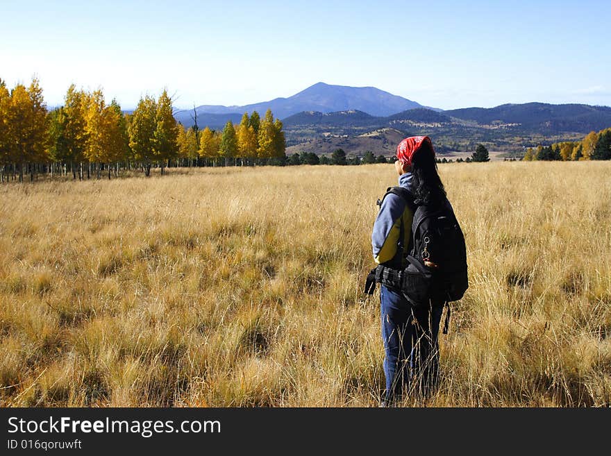 Traveler is visiting fall color county, flagstaff, arizona. Traveler is visiting fall color county, flagstaff, arizona