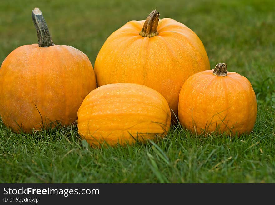 Pumpkins on the green grass